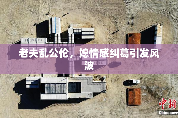 老夫乱公伦，媳情感纠葛引发风波