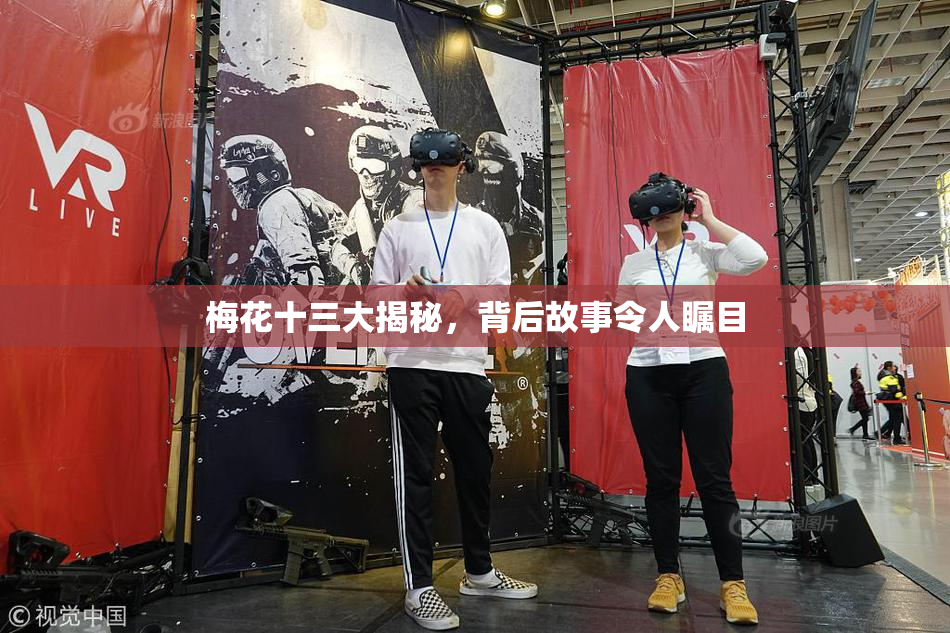梅花十三大揭秘，背后故事令人瞩目