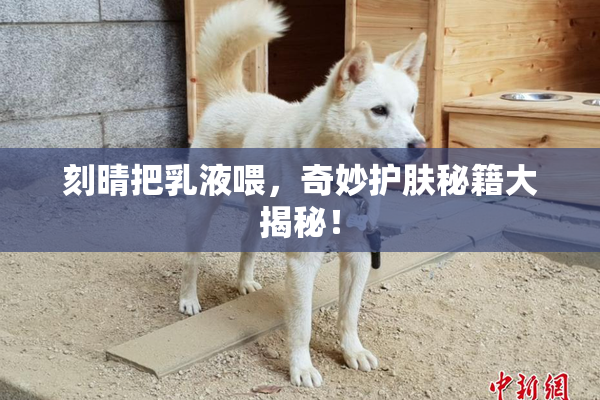 刻晴把乳液喂，奇妙护肤秘籍大揭秘！