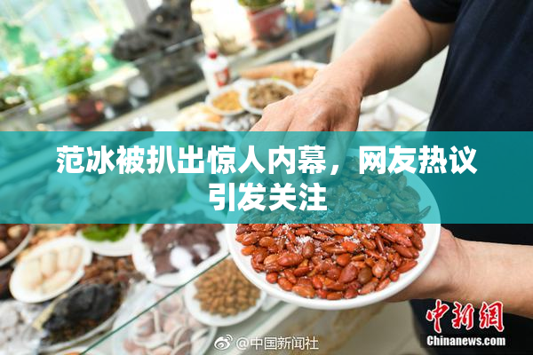 范冰被扒出惊人内幕，网友热议引发关注