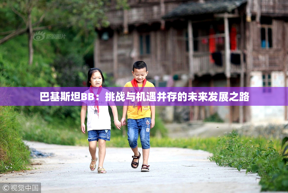 巴基斯坦BB：挑战与机遇并存的未来发展之路