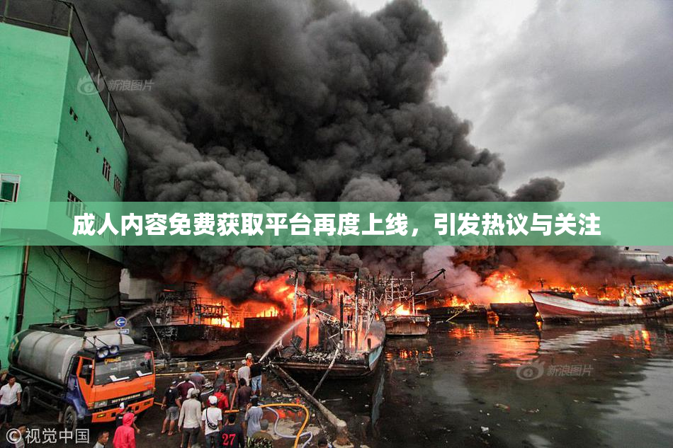 成人内容免费获取平台再度上线，引发热议与关注