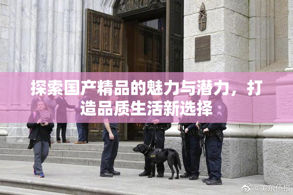 探索国产精品的魅力与潜力，打造品质生活新选择