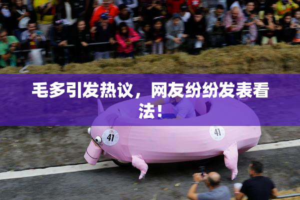 毛多引发热议，网友纷纷发表看法！