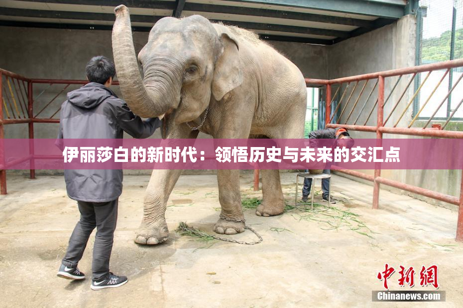 伊丽莎白的新时代：领悟历史与未来的交汇点
