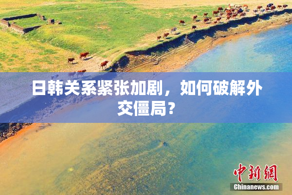 日韩关系紧张加剧，如何破解外交僵局？