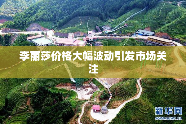 李丽莎价格大幅波动引发市场关注