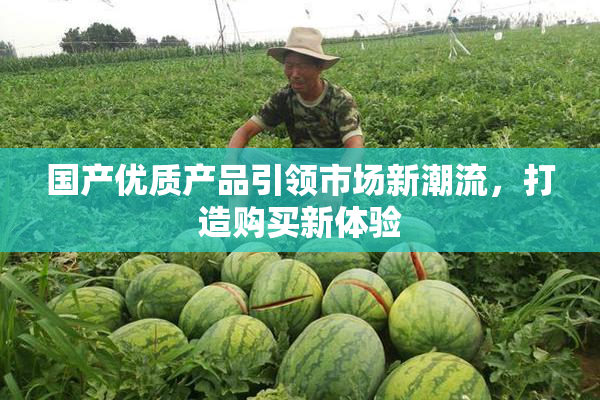 国产优质产品引领市场新潮流，打造购买新体验