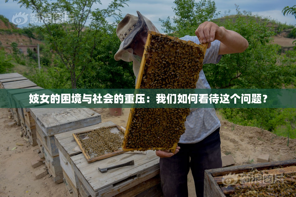 妓女的困境与社会的重压：我们如何看待这个问题？