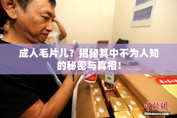 成人毛片儿？揭秘其中不为人知的秘密与真相！