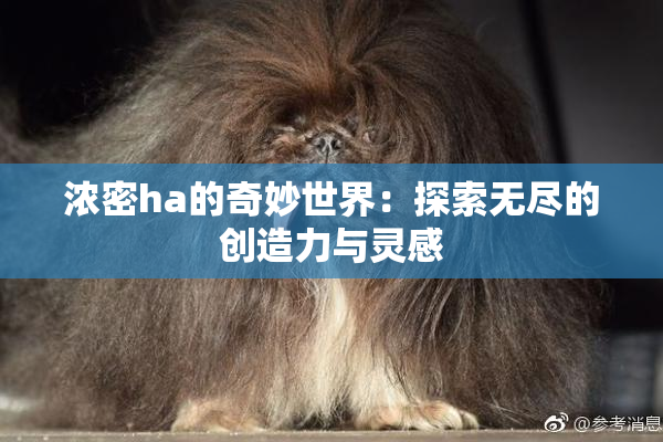 浓密ha的奇妙世界：探索无尽的创造力与灵感