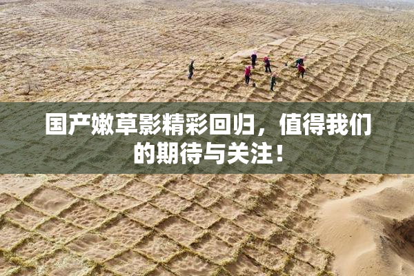 国产嫩草影精彩回归，值得我们的期待与关注！