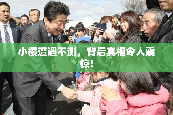 小樱遭遇不测，背后真相令人震惊！