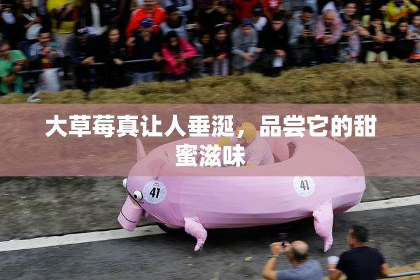大草莓真让人垂涎，品尝它的甜蜜滋味