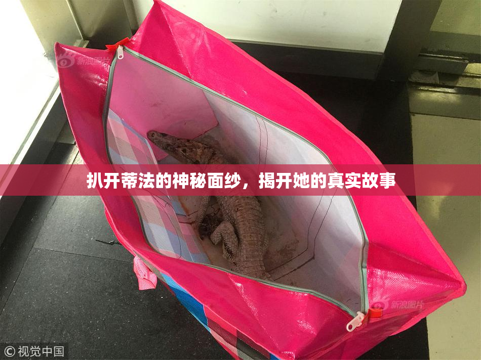 扒开蒂法的神秘面纱，揭开她的真实故事
