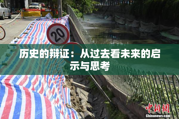 历史的辩证：从过去看未来的启示与思考