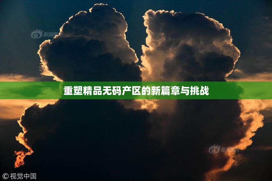 重塑精品无码产区的新篇章与挑战