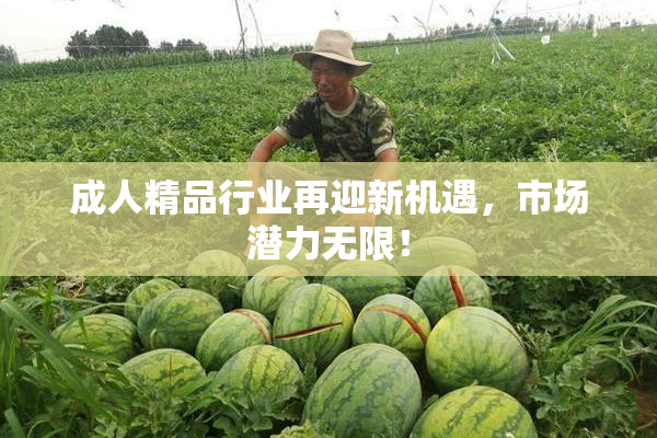 成人精品行业再迎新机遇，市场潜力无限！