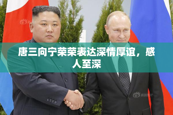 唐三向宁荣荣表达深情厚谊，感人至深