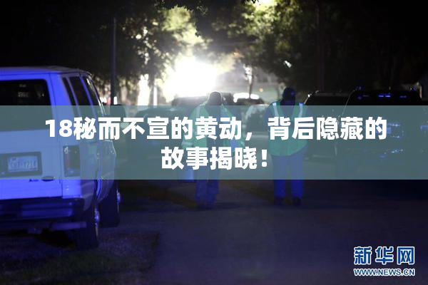 18秘而不宣的黄动，背后隐藏的故事揭晓！