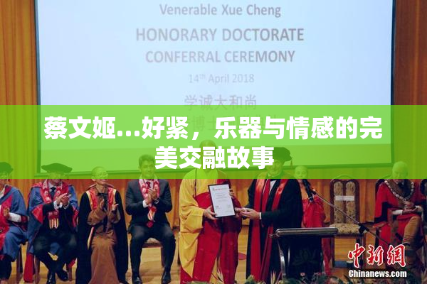 蔡文姬…好紧，乐器与情感的完美交融故事
