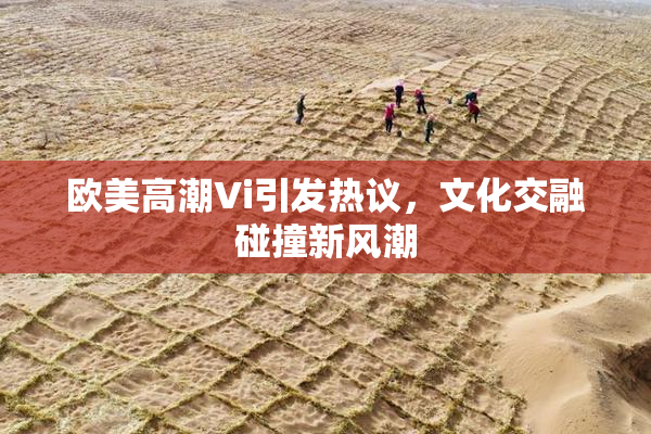 欧美高潮Vi引发热议，文化交融碰撞新风潮