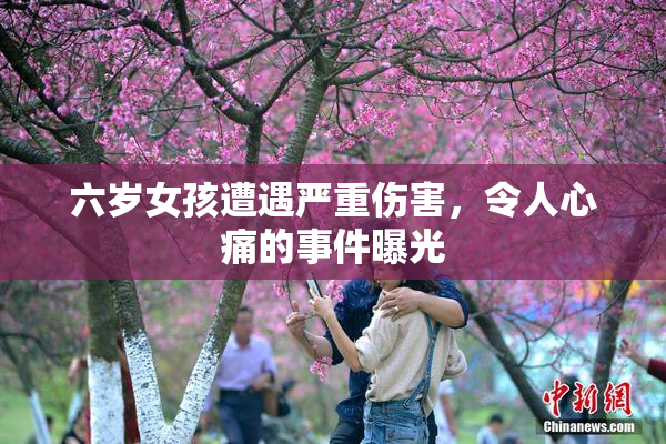 六岁女孩遭遇严重伤害，令人心痛的事件曝光