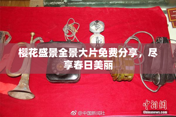 樱花盛景全景大片免费分享，尽享春日美丽