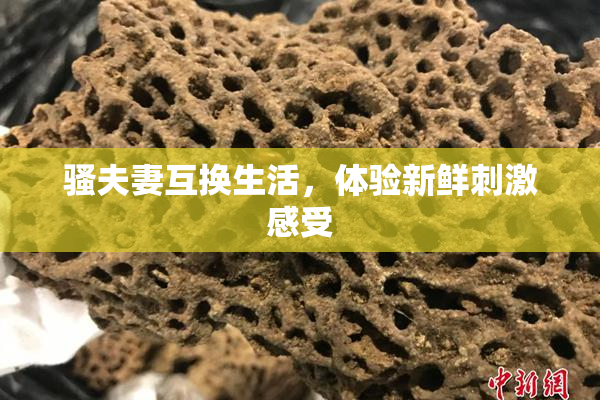 骚夫妻互换生活，体验新鲜刺激感受