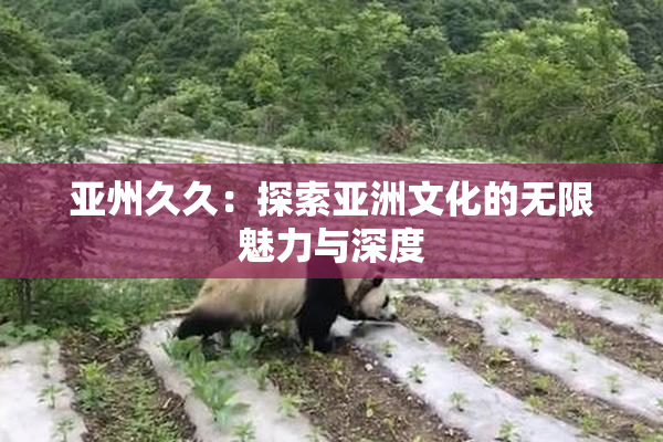亚州久久：探索亚洲文化的无限魅力与深度