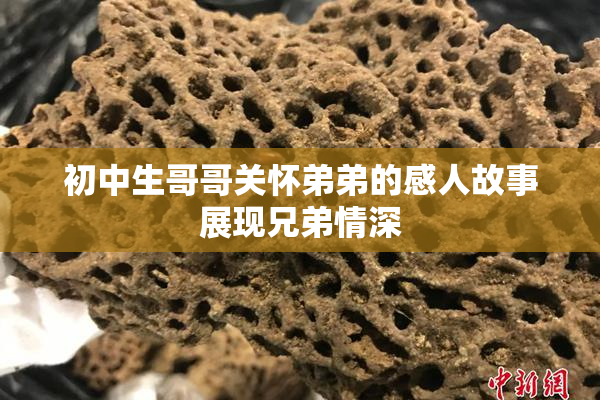 初中生哥哥关怀弟弟的感人故事展现兄弟情深