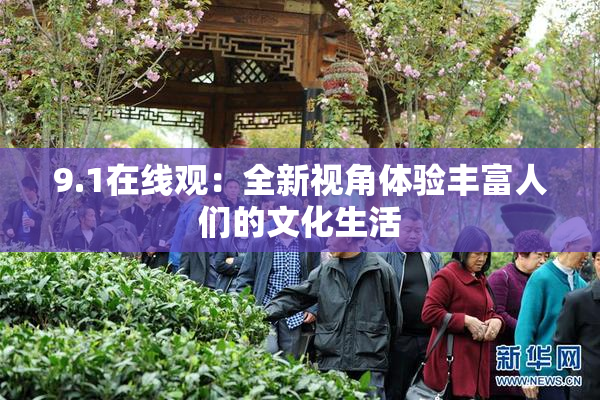 9.1在线观：全新视角体验丰富人们的文化生活
