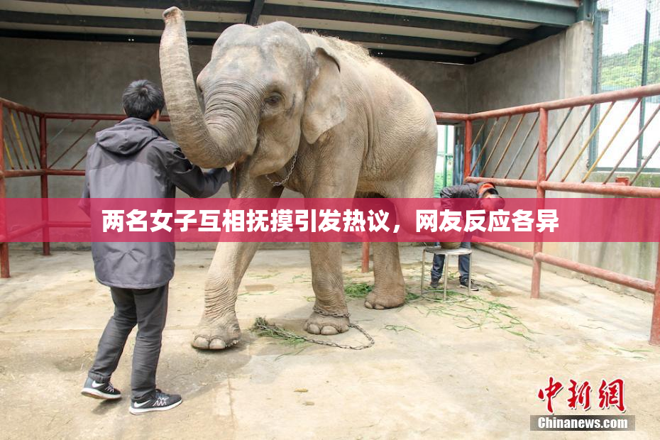 两名女子互相抚摸引发热议，网友反应各异