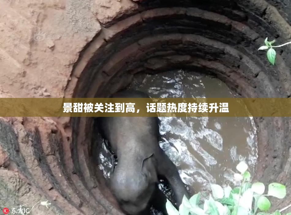 景甜被关注到高，话题热度持续升温