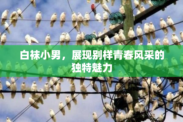 白袜小男，展现别样青春风采的独特魅力