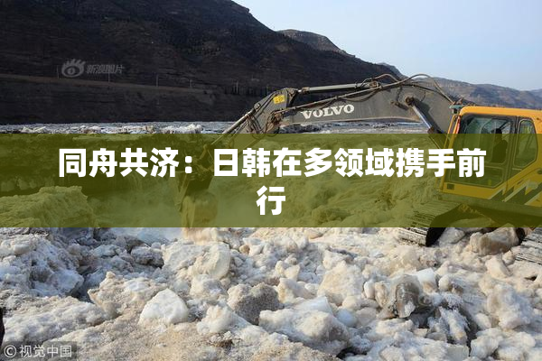 同舟共济：日韩在多领域携手前行