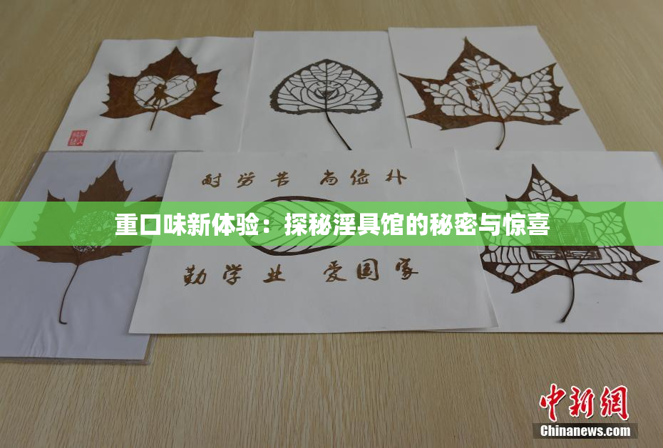 重口味新体验：探秘淫具馆的秘密与惊喜