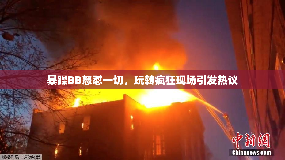 暴躁BB怒怼一切，玩转疯狂现场引发热议