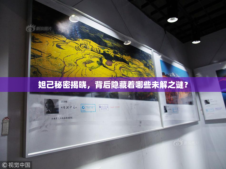 妲己秘密揭晓，背后隐藏着哪些未解之谜？
