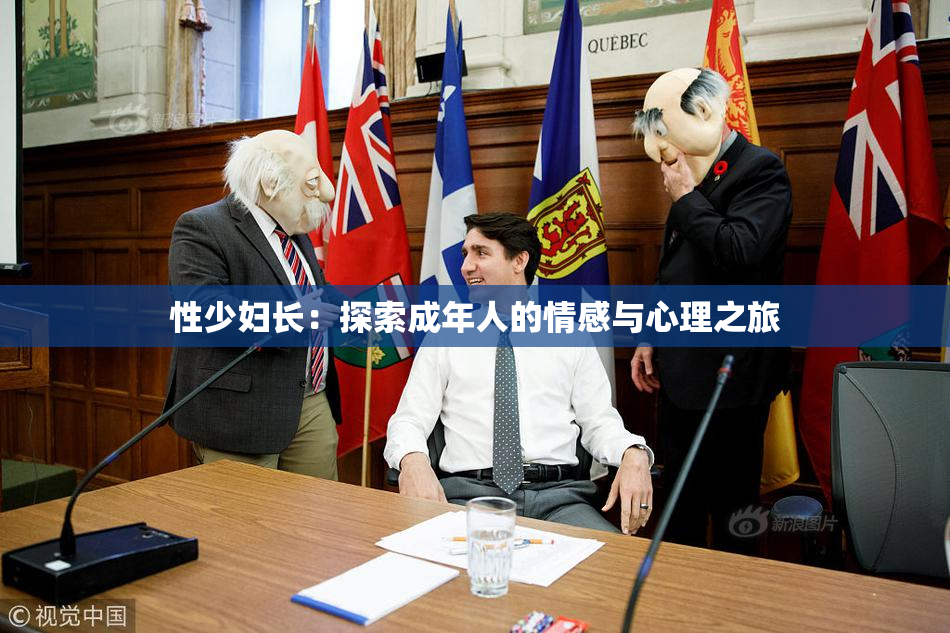 性少妇长：探索成年人的情感与心理之旅