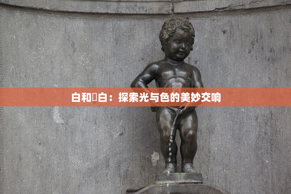 白和晄白：探索光与色的美妙交响
