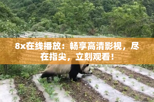 8x在线播放：畅享高清影视，尽在指尖，立刻观看！