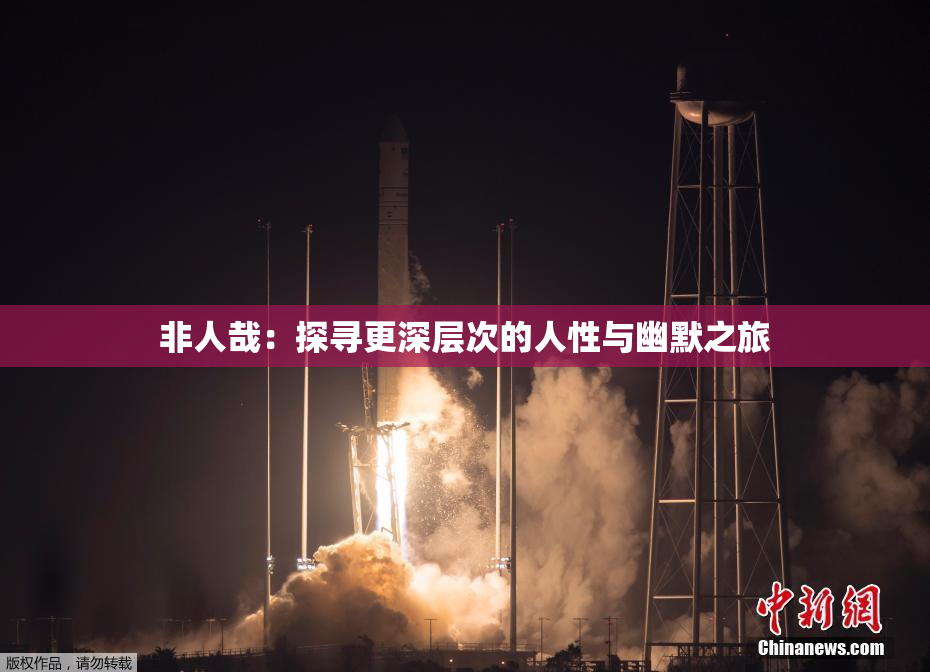 非人哉：探寻更深层次的人性与幽默之旅