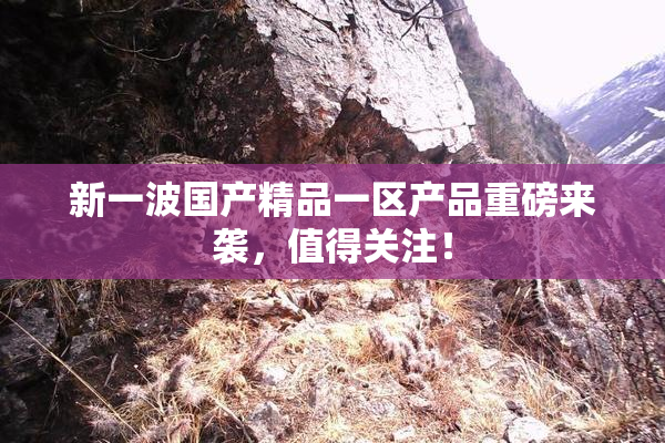 新一波国产精品一区产品重磅来袭，值得关注！