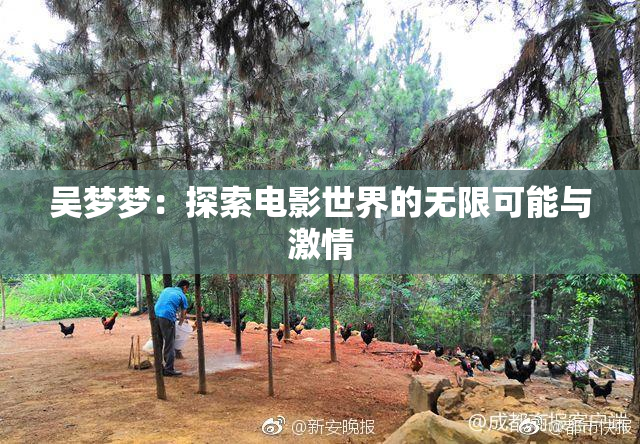 吴梦梦：探索电影世界的无限可能与激情