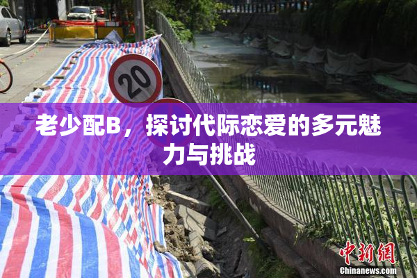 老少配B，探讨代际恋爱的多元魅力与挑战
