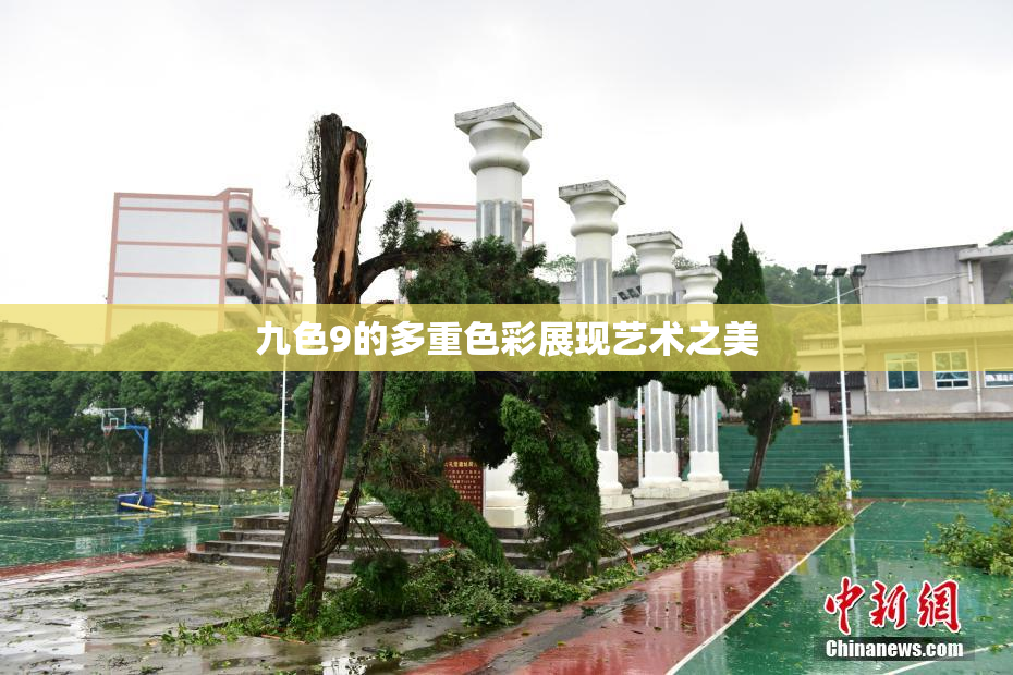 九色9的多重色彩展现艺术之美