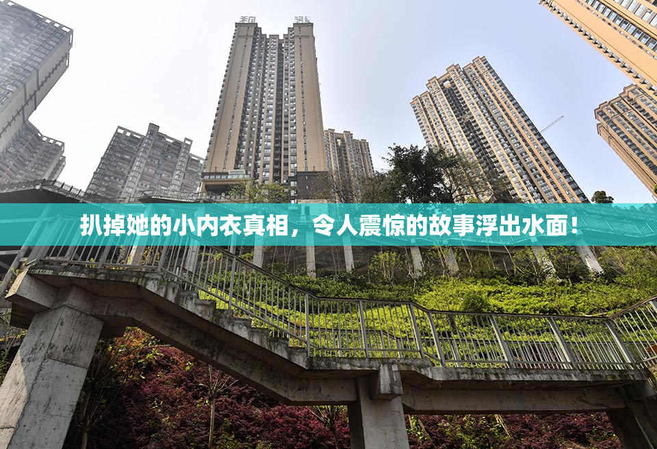 扒掉她的小内衣真相，令人震惊的故事浮出水面！