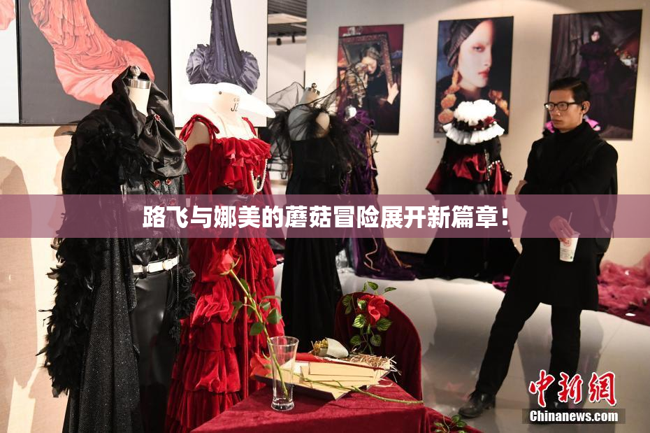 路飞与娜美的蘑菇冒险展开新篇章！