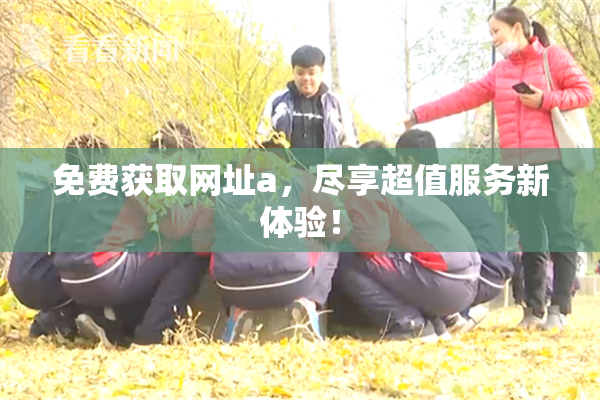 免费获取网址a，尽享超值服务新体验！